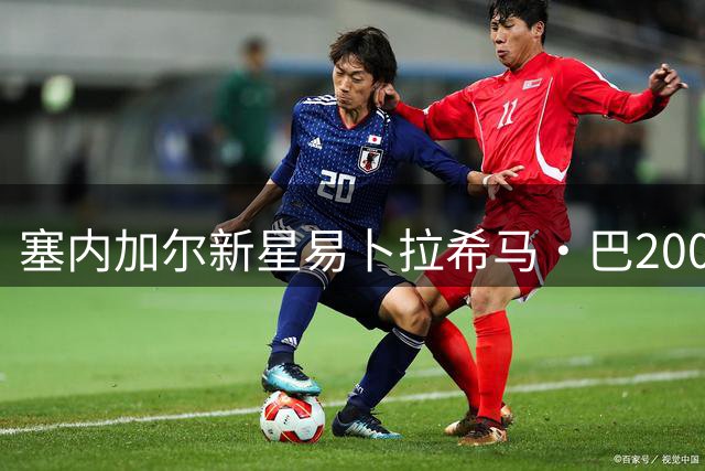 塞内加尔新星易卜拉希马·巴2000万欧登陆葡超豪门